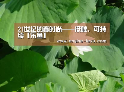 21世纪的真时尚——低碳、可持续【乐鱼】(图2) 乐鱼官网