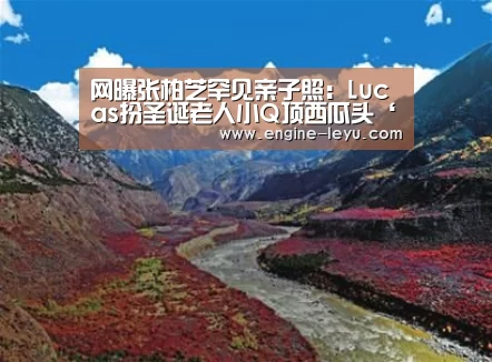 乐鱼官网