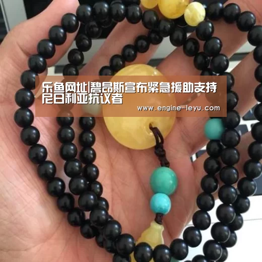 乐鱼官方版正版安装