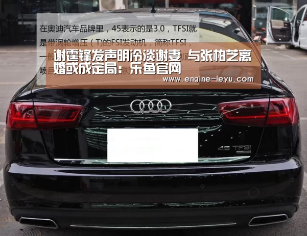 谢霆锋发声明冷淡谢妻 与张柏芝离婚或成定局:乐鱼官网(图1) 乐鱼