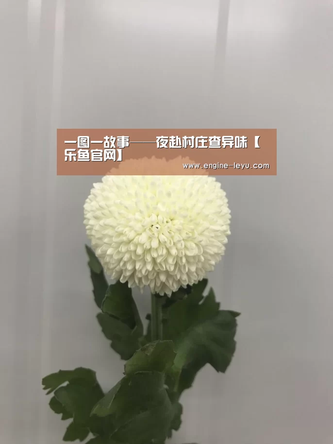 一图一故事——夜赴村庄查异味【乐鱼官网】(图2) 乐鱼官方版正版安装