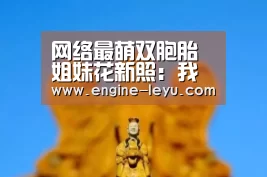 乐鱼官方版正版安装