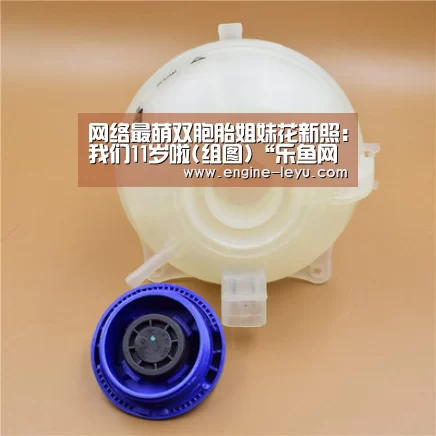 乐鱼官网